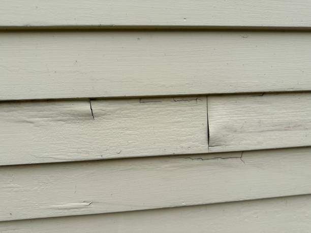 Best Siding Removal and Disposal  in Abram, TX